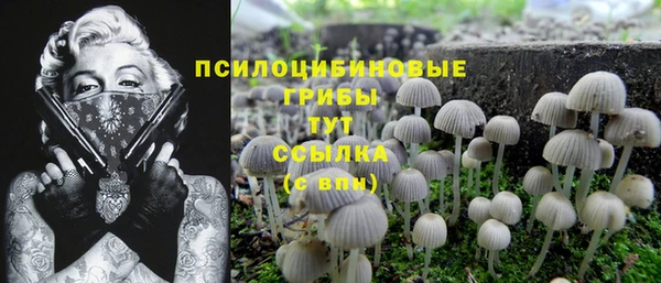 дмт Абаза