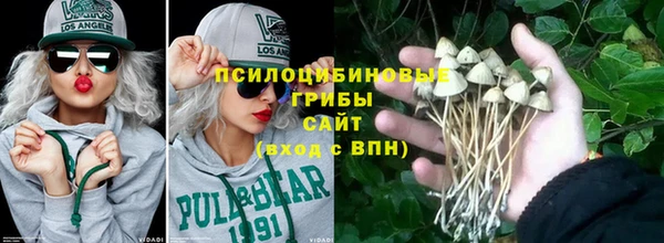 дмт Абаза
