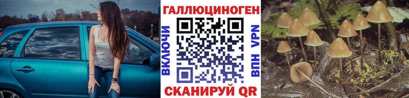 Псилоцибиновые грибы ЛСД  mega зеркало  Сертолово 