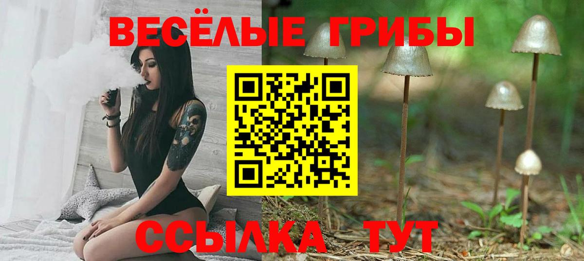 Псилоцибиновые грибы прущие грибы  Галлюциногенные грибы Psilocybe  Вход с VPN  Сертолово 
