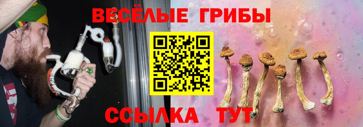 Сертолово  ГАШ  Cocaine  Меф кристаллы  Вход с VPN  MDMA  APVP СОЛЬ кристаллы  Конопля  Героин 