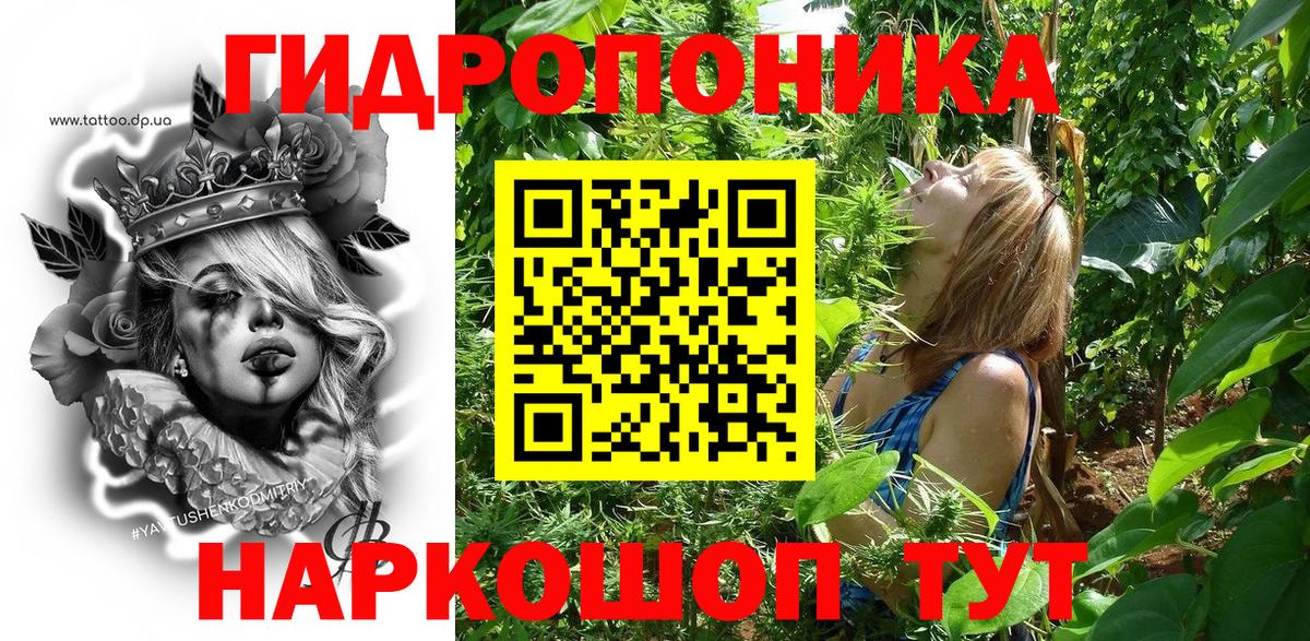 Сертолово  Марихуана конопля  Бошки марихуана гибрид  Вход с VPN 